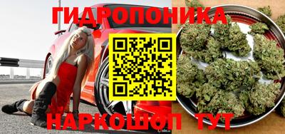 сатива Ливны