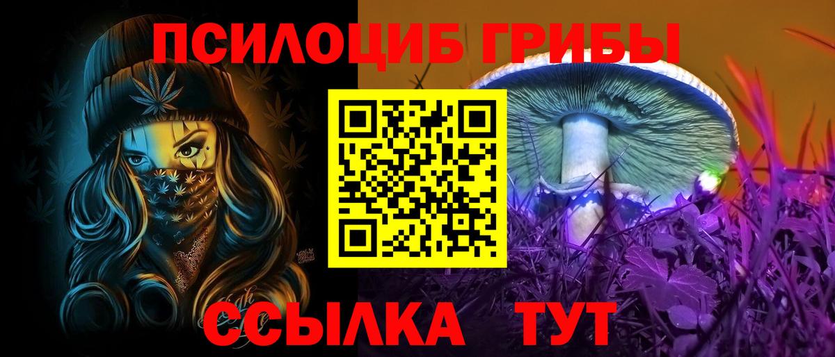 Шатура  Псилоцибиновые грибы Psilocybine cubensis  Вход с VPN 